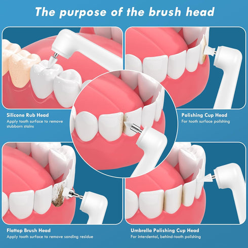 Tooth Polisher Replacement Heads, 5 Types of Brush Head Accessories for Dental Care.
