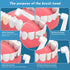 Tooth Polisher Replacement Heads, 5 Types of Brush Head Accessories for Dental Care.