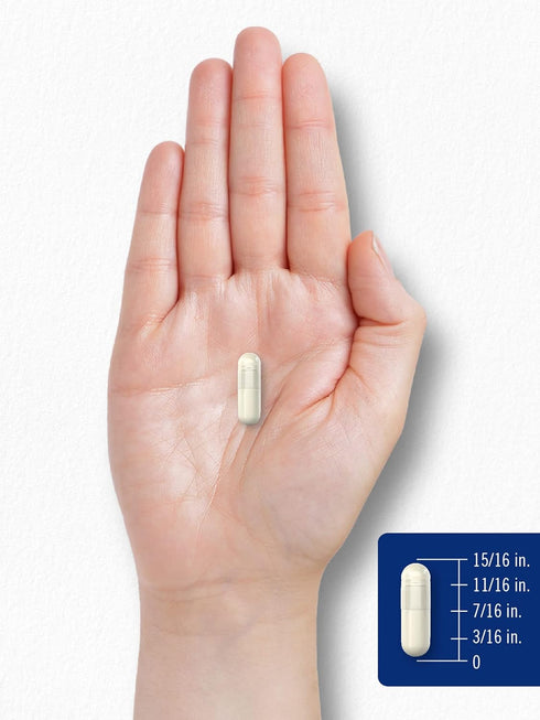 Carlyle Chitosan Supplement 1200mg | 120 Quick Release Capsules | Gluten Free, Non-GMO | Ultra Lipo