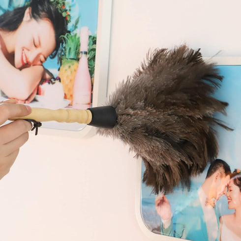 Natural Gray Ostrich Feather Duster, 2 Packs, Smart and Soft Cleaner for Blinds, Kitchen, Office