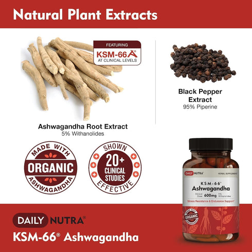 KSM-66 600mg 5% (60 DailyNutra Ashwagandha Organic Root Extract - High Potency Supplement with Withanolides | Relieves