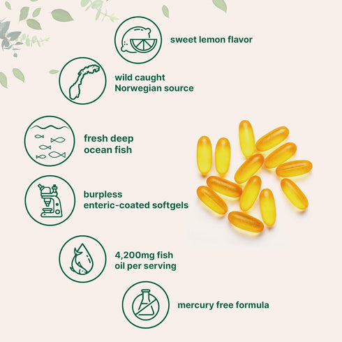 Triple Strength Omega 3 Fish Oil Supplements, 4200mg Per Serving, 240 Softgels - Lemon Flavored, EPA 1200mg + DHA 900mg