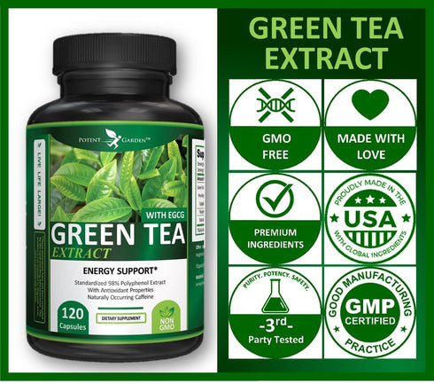 Green Tea Extract with EGCG - Natural Energy, Mental Focus, Immune Support, Antioxidant, 120 Capsules