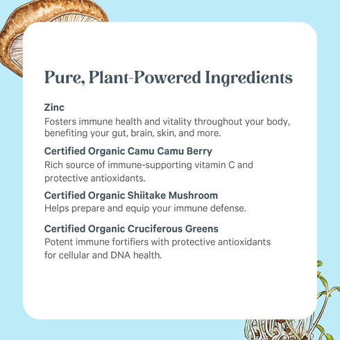 PURE SYNERGY Zinc Complex, Immune Support Supplement, Natural Vegan Zinc with Vitamin C and Organic Whole Foods
