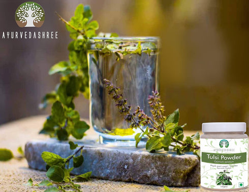 Tulsi Powder Holy Basil | 100 Gm | Vegan, Non-GMO, Gluten Free | Ocimum Sanctum Tulsi Leaves Powder
