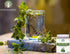 Tulsi Powder Holy Basil | 100 Gm | Vegan, Non-GMO, Gluten Free | Ocimum Sanctum Tulsi Leaves Powder