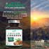 Pure Cinnamon Capsules 1800mg - Certified Organic Ceylon Cinnamon Powder, Non-GMO, Gluten Free, Vegan, 180 Count