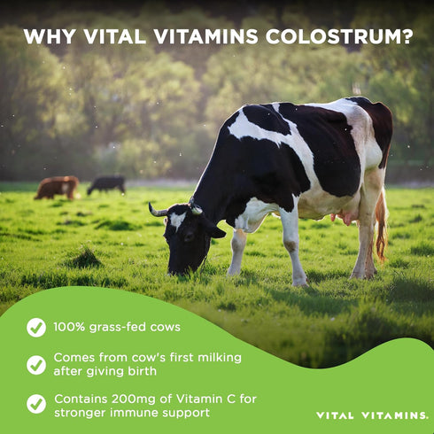 Vital Vitamins Colostrum Supplement - Grass-Fed Bovine from First Milking - 60 Capsules - 30% IgG Immunoglobulins