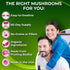 Immune 120Ct Organic Mushroom Complex: Lion's Mane, Turkey Tail, Cordyceps, Chaga, Contains Naturally Occurring Beta