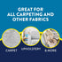 Carpet and Upholstery Stain Remover Spray - 32 Fl Oz Stain Remover for Area Rugs and Upholstery