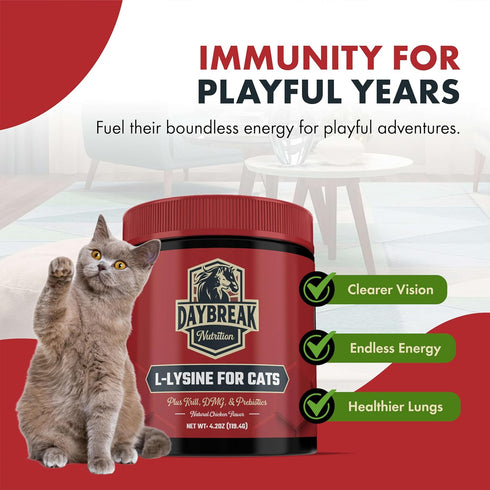 L-Lysine Powder Supplement for Cats & Kittens, 900 mg