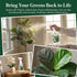 Silk Plant Cleaner Spray No Wipe, Artificial Plant Cleaner Cleaner, Removes Dust & Restores Fresh Natural Look, Easy