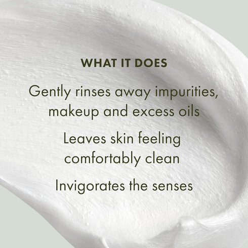 Origins Checks and Balances Frothy Face Wash, Gentle Cleanser for All Skin Types with Mint