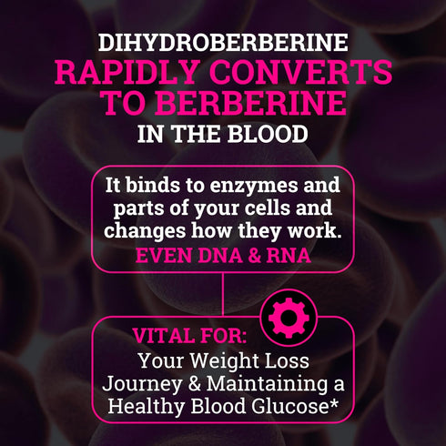 Black Forest 5X Berberine, Dihydroberberine Supplement, Best Dihydroberberine with Ceylon Cinnamon, 5X More Effective
