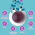 Hyland's Naturals Organic Elderberry Plus Gummies, Black Elderberry with ZINC and Vitamin C, Immune Support 60 Vegan
