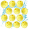 Pet Hair Remover for Laundry, 12 PCS Reusable Lint Catcher, Washing Machine Hair Catcher, Dryer Balls for Dog Cat Fur