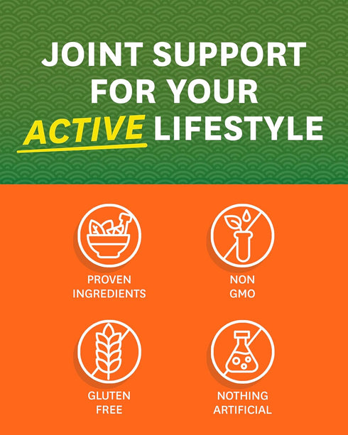 Zenwise Health Glucosamine Chondroitin MSM - Joint Support Supplement with Turmeric for Joint Health, 180 Capsules