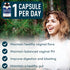 Vaginal Probiotics for Women - 19 Billion CFU Lactobacillus Salivarius for PH Balance & Digestive Health - 30 Capsules