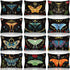 Kajaia 12 Pcs Butterfly Makeup Bag, Christmas Gifts for Women, Canvas Cosmetic Bag