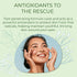 Vitamin C Kelp Eye Gel for Puffiness, Under Eye Bags & Dark Circles, Cooling Youthful Glow, 1 Oz