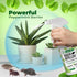 Mighty Mint 16oz Peppermint Oil Rodent Repellent Spray