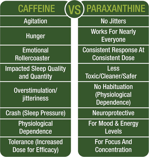 Paraxanthine Capsules for Clean, Jitter Free Energy - Enfinity Paraxanthine Supplement for Focus and Productivity