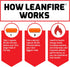 FORCE FACTOR LeanFire Pre Workout Energy Pills, 3-Pack with Green Tea Extract and Caffeine, 90 Capsules