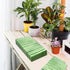 KTHONIOMANTE 200PCS 2 Pack, 4.5x8 Inch Green & White Stripe Guest Napkins, Ply Disposable Paper Striped Dinner Hand