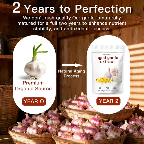 ZEYARUIBO Extract-300 Count Immune 2-Year Aged Garlic Odorless Organic Garlic Capsules Supplement for Heart & Support