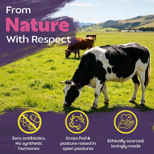 VoloZionX 30 Female Beef Organ Supplement Grass Fed & Pasture Raised Beef Liver, Kidney, Uterus, Heart Supports Hormone