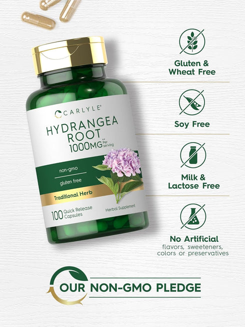 Carlyle Hydrangea Root Capsules | 1,000mg | 100 Count | Non-GMO, Gluten Free Extract