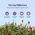 Lily Of The Desert Aloe Vera Gel - Inner Fillet Filtered Aloe Vera Drink with Natural Vitamins, 32 Fl Oz