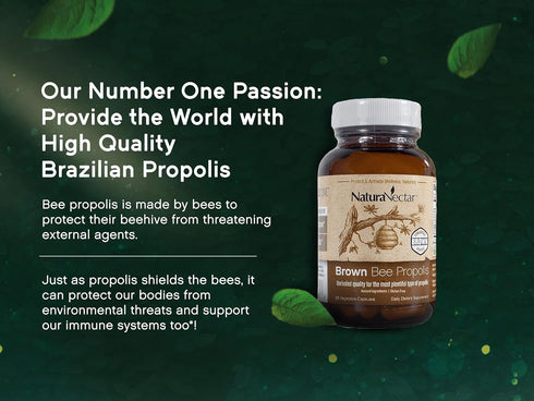 NaturaNectar Brown Bee Propolis, NSF Contents Certified, Premium Brazilian Propolis, Gluten-Free Supplement, 60pcs