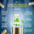 Organic Lions Mane Supplement Capsules - 120 Capsules with Ginkgo Biloba, Bacopa Monnieri for Brain Support