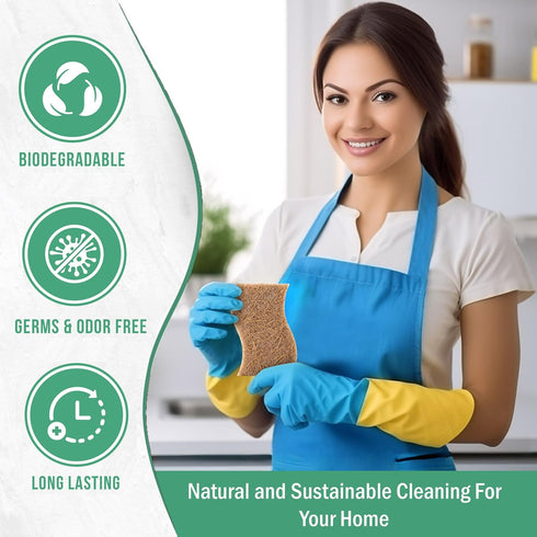 6 Pack Natural Kitchen Sponges, Compostable White Cellulose & Organic Coconut Scrubber for Washing Dishes