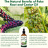 Smelling salts 2 2 oz Poke Root and Castor Oil - x fl Poke Root Oil Organic with Vitamin E - Supports Swollen Lymph
