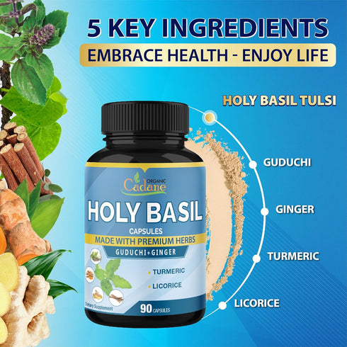 Organic Cadane Holy Basil Supplements - Capsules with Guduchi, Ginger, Turmeric Curcumin, Licorice, 90 Capsules for