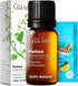Gya Labs Melissa Essential Oil for Candle Making Scents - 0.34 Fl Oz Natural Melissa Oil