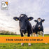 It's Just! Whey Protein Concentrate, Ultra Premium Grass-Fed, Unflavored (1.25 Pound)