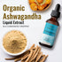 HERBAMAMA Ashwagandha Liquid Drops - Organic Ashwagandha Root Tincture, Vegan Liquid Complex, 2 fl oz