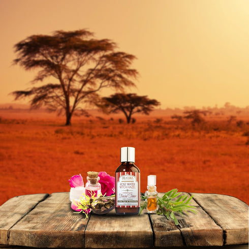 Shea Terra Organics Beauty Water, Toner & Face Mist, 4 oz, Damask Rose HIPS & Hazel, Natural Hydrating