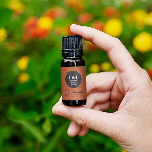 Edens Garden Ginger Essential Oil, 100% Pure Premium Grade, 10 ml for Diffuser and Skin