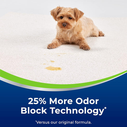 Woolite Advantage Heavy Traffic Carpet Foam, 4 Pack