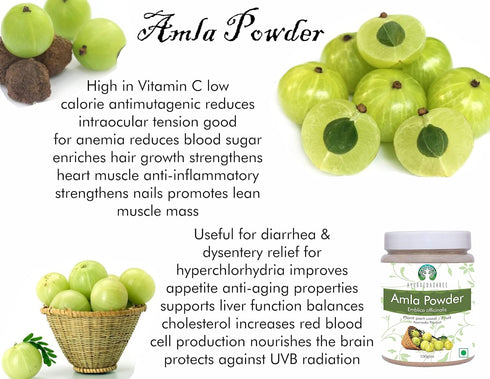 Amla Fruit Powder (Amalaki) 100 Gm | Raw, Non-GMO, Rich in Antioxidant Vitamin C, Vegan from India