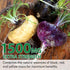 Vceeoy 1500 -60 Maca Root, Black Pepper Extract Capsules for Women & Men with mg Black, Red & Yellow Maca,Gives Energy
