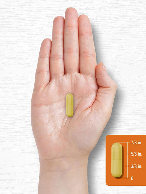 Carlyle Turmeric Curcumin with Bioperine | 500 mg | 180 Powder Capsules | Non-GMO, Gluten Free