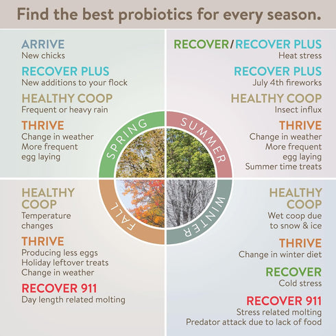 Arrive, Daily Probiotic & Prebiotic Water Supplement for Young Chickens, 0-8 Weeks Old, 8 oz