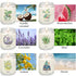 Scented,37.8 oz Summer Set Candles for Home Long Lasting, Natural Non Toxic Soy Candles, Spring & Scented Candles