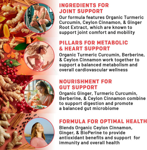 5-in-1 Turmeric Curcumin Supplement (4210mg) with Berberine & Ceylon Cinnamon - Organic Joint, Heart, Gut & Metabolic