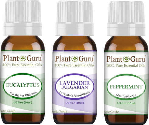 Essential Oil Set Beginner Trio Kit 10 ml 100% Pure Therapeutic Grade